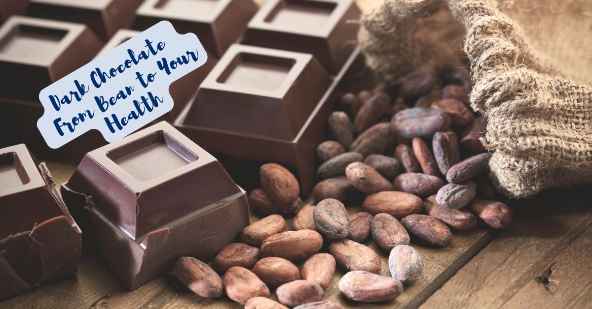 Dark Chocolate - From Bean to Your Health